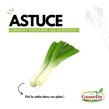 Ver la galería (5 photos)